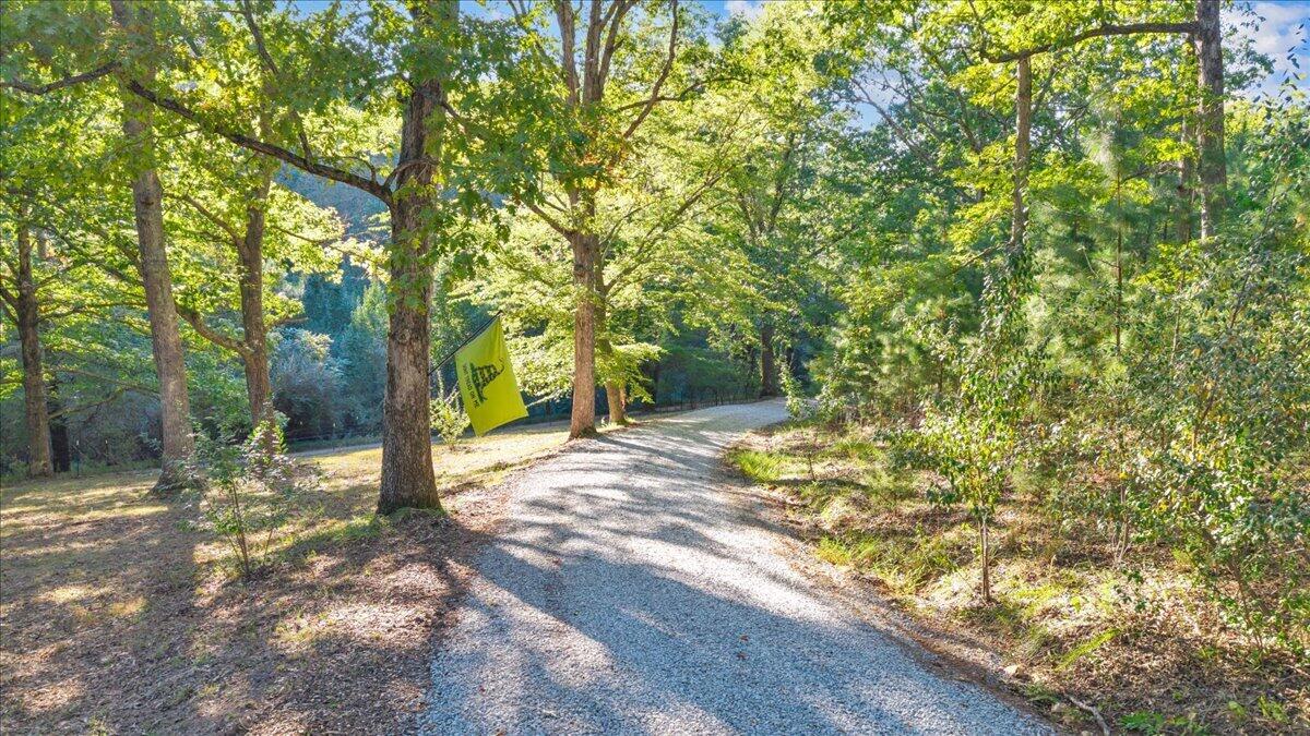 1182 Rabbit Drive Thaxton, VA 24174 - Photo 83 of 90 114-DJI_20261001173851_0327_D