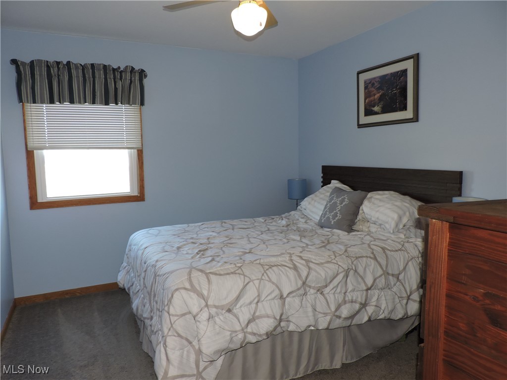 42059 Biggs Road Lagrange, OH 44050 - Photo 13 of 25 Carpeted bedroom featuring baseboards and a ceiling fan