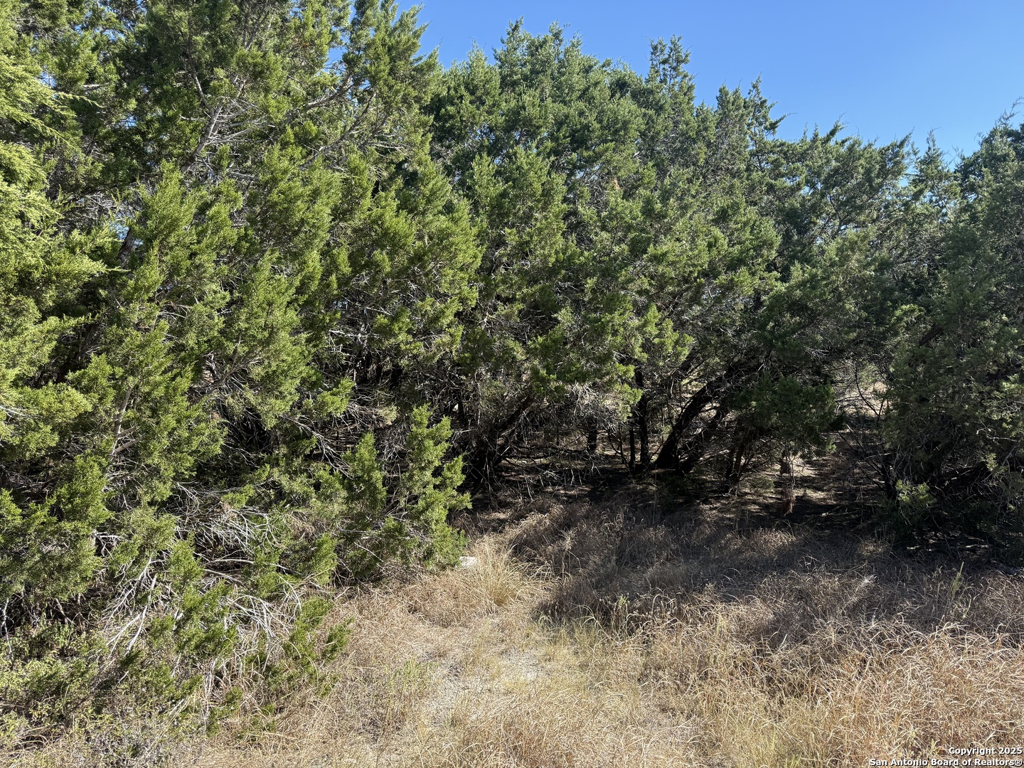 1503 Lake Drive Spring Branch, TX 78070 - Photo 4 of 5