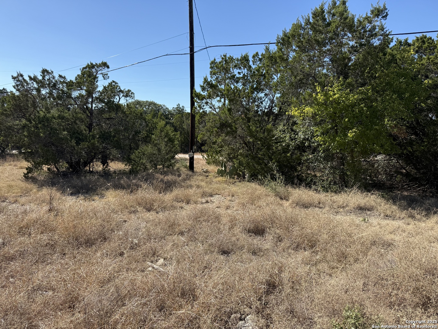 1503 Lake Drive Spring Branch, TX 78070 - Photo 5 of 5