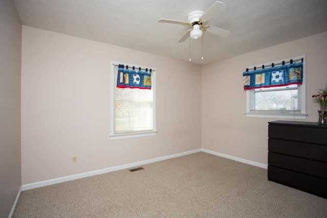 7386 Spring Creek Road Bridgewater, VA 22812 - Photo 8 of 23 an empty room with windows and fan