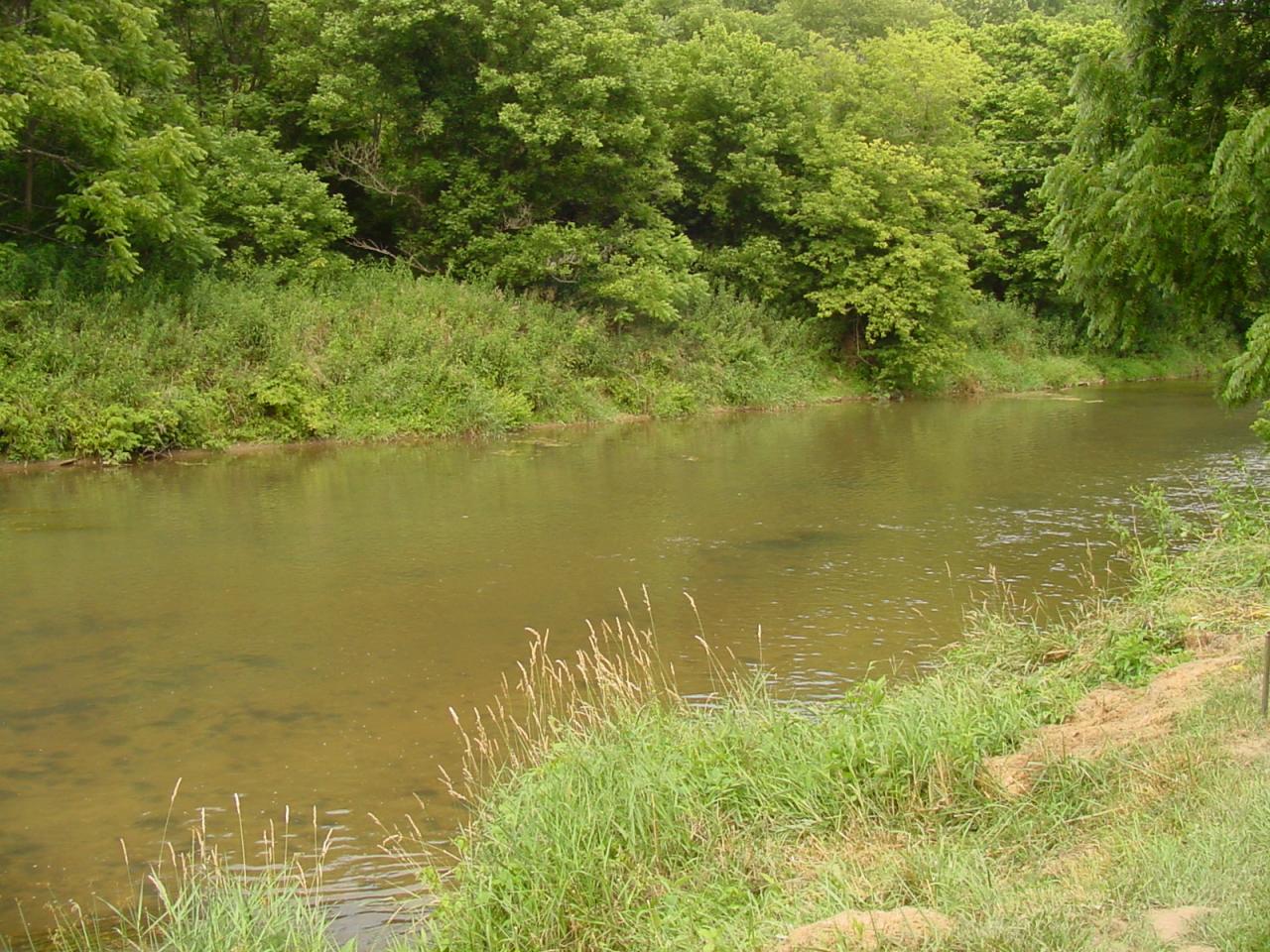 428 Sowers Mill Dam Road Northeast Riner, VA 24149 - Photo 3 of 31 a view of an ocean from a beach