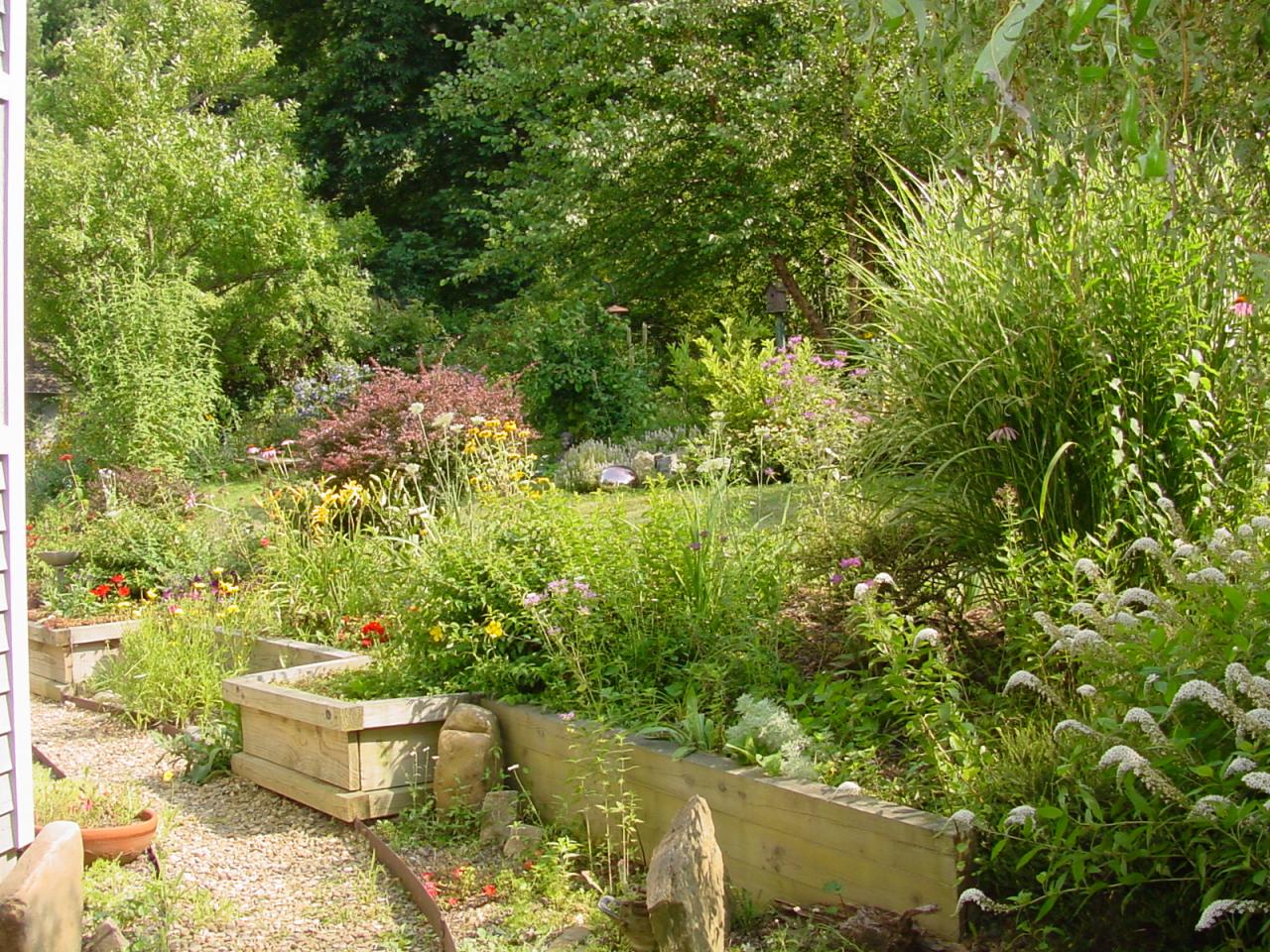428 Sowers Mill Dam Road Northeast Riner, VA 24149 - Photo 10 of 31 a view of a backyard with fountain plants and large tree