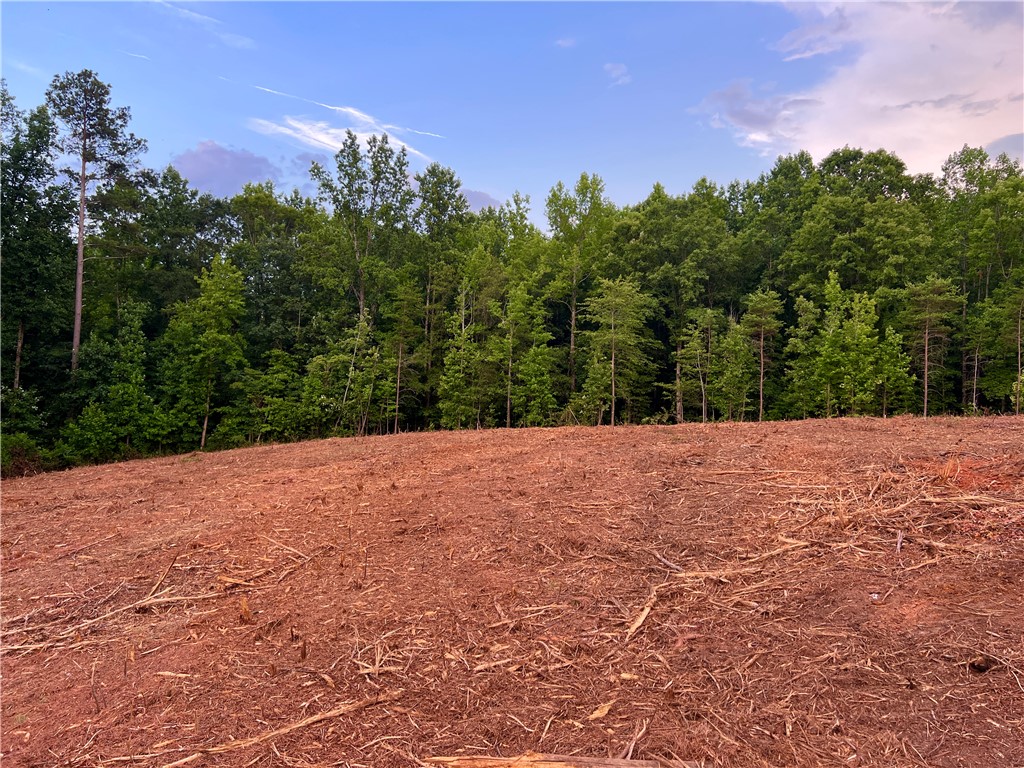 Lot 8-9 Pickens Drive Pendleton, SC 29670 - Photo 11 of 14