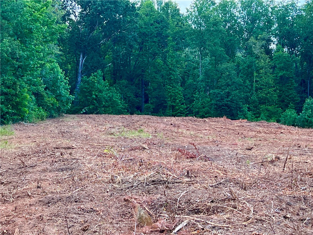 Lot 8-9 Pickens Drive Pendleton, SC 29670 - Photo 12 of 14