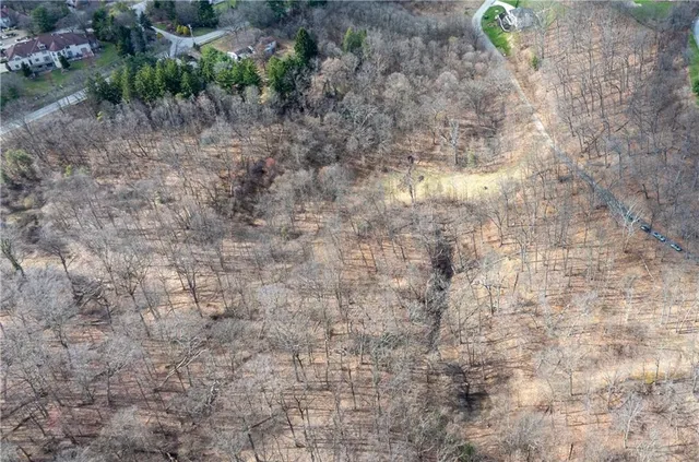 a backyard of a house with lots of plants and trees