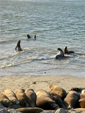 $1,122,777 | 4344 Tradewinds Drive, Oxnard, CA 93035