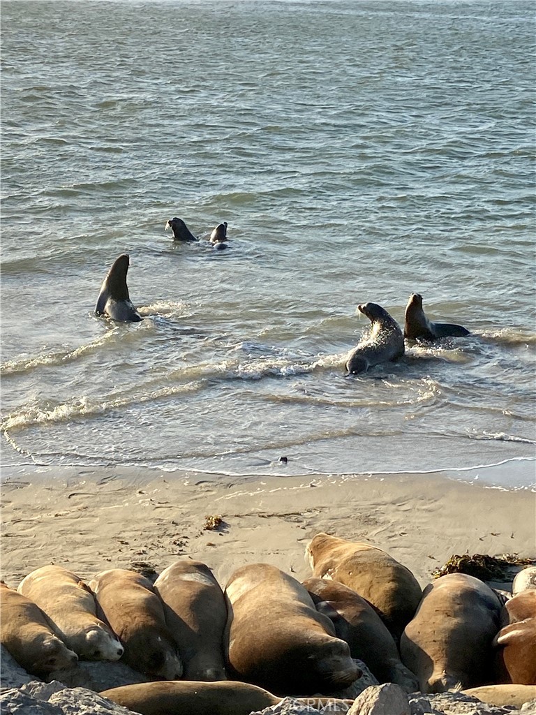 4344 Tradewinds Drive Oxnard, CA 93035 - Photo 55 of 57 a view of a lounge chair