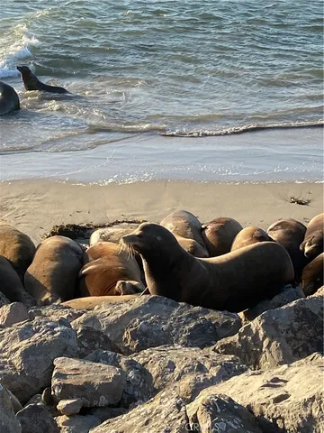 $1,122,777 | 4344 Tradewinds Drive, Oxnard, CA 93035