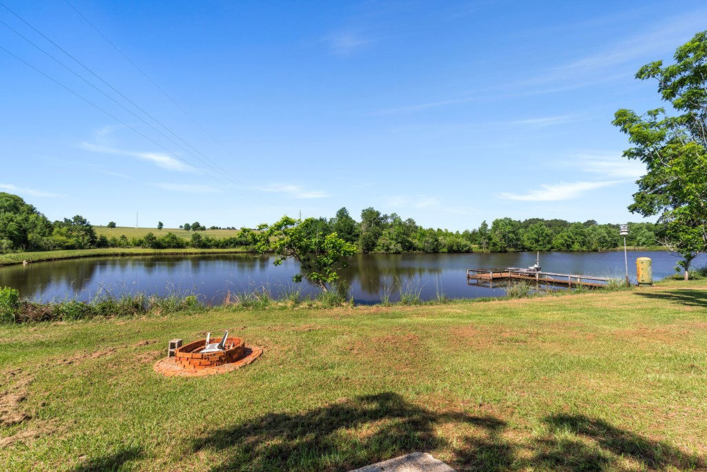 861 Culpepper Road Coffee Springs, AL 36318 - Photo 10 of 71