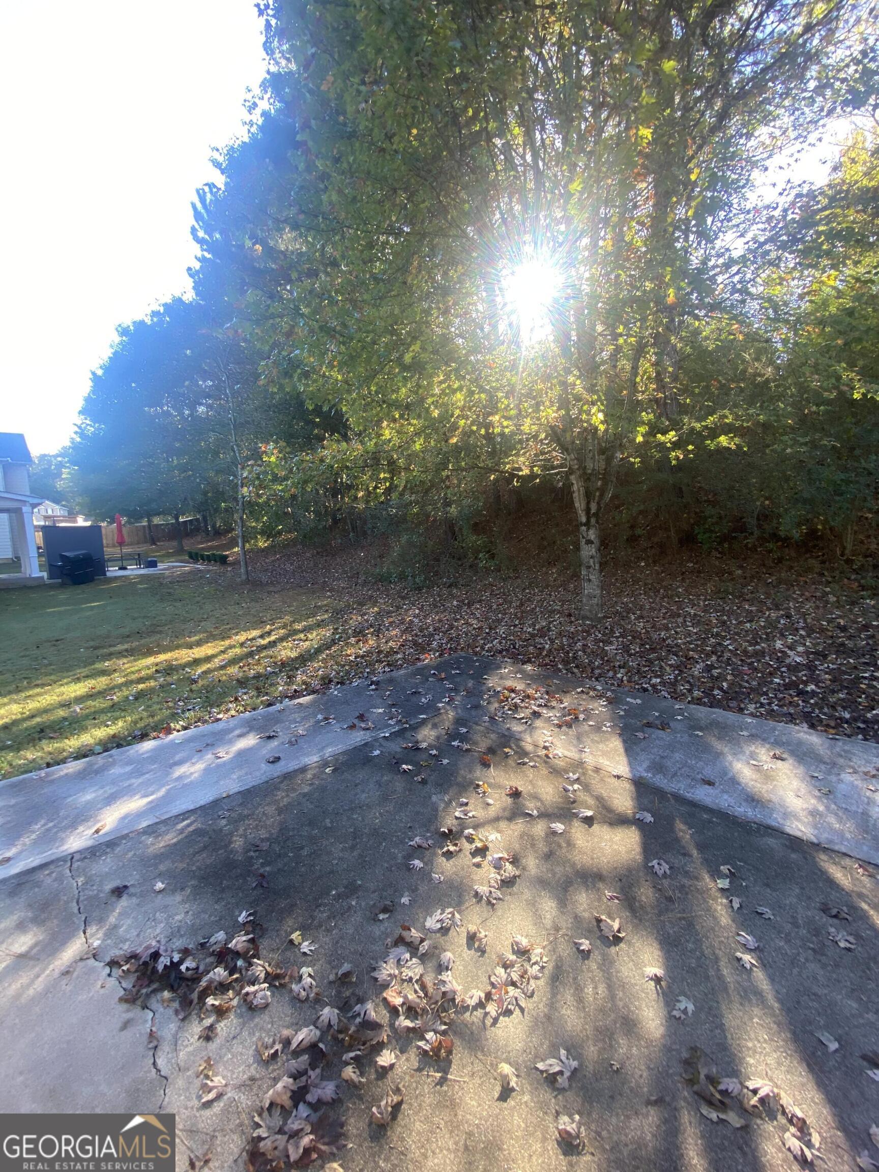 5441 Stirrup Way Powder Springs, GA 30127 - Photo 12 of 17 a view of a yard with a trees