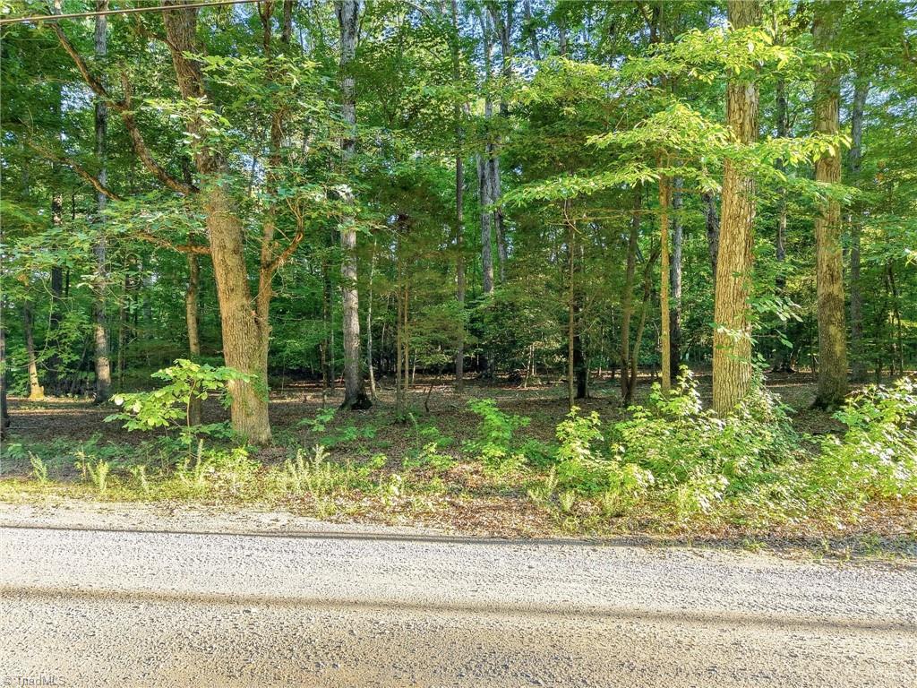 0 Roy Coppley Road Lexington, NC 27292 - Photo 7 of 25