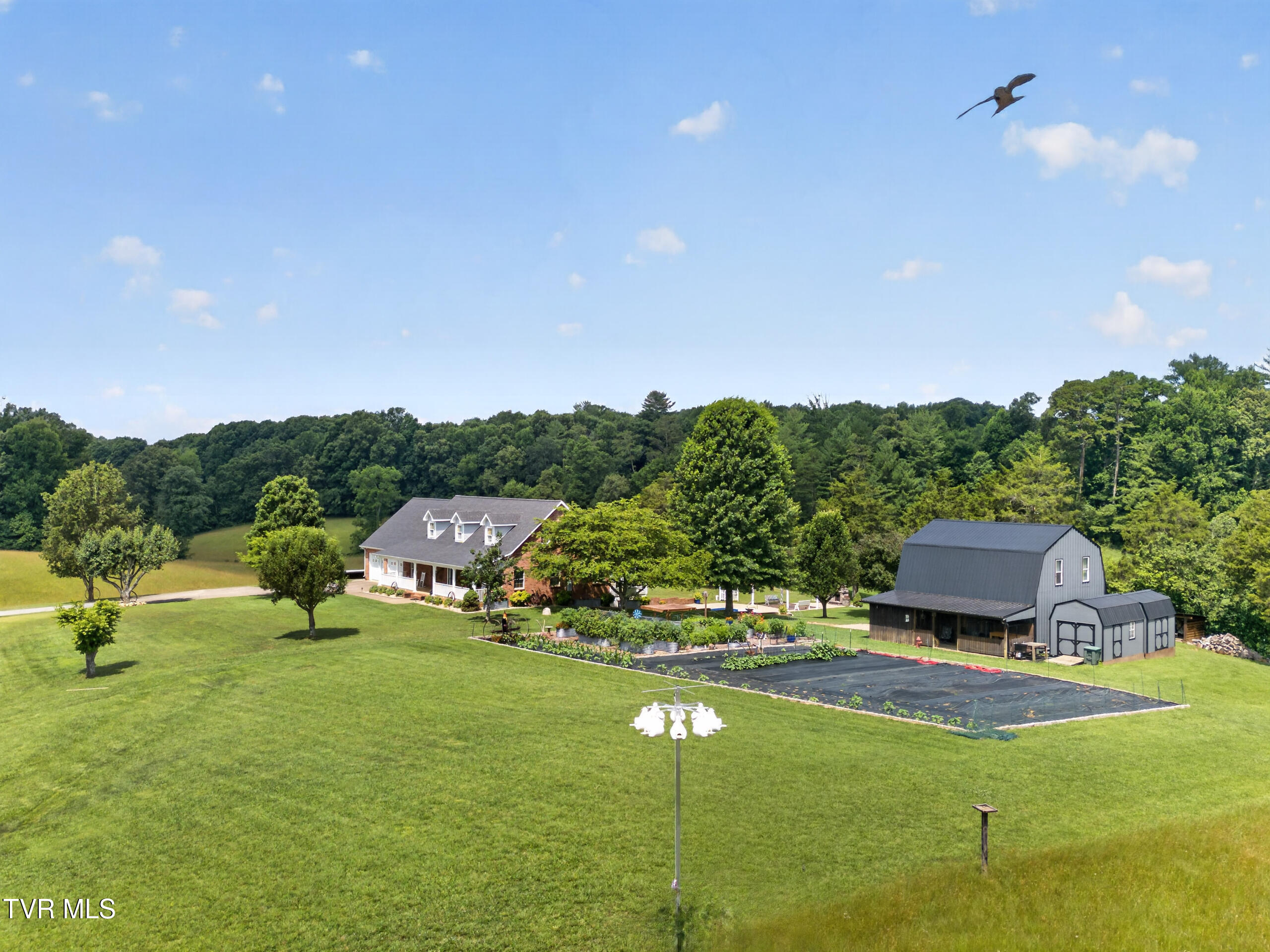 835 John Bird Road Afton, TN 37616 - Photo 4 of 158 DJI_0150