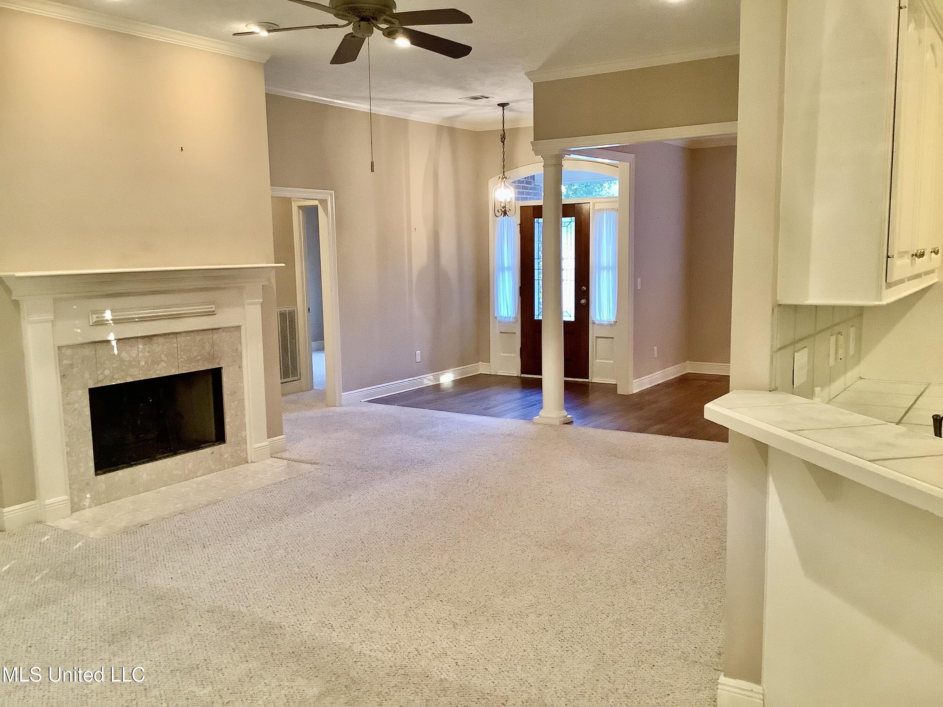 669 Muirwood Circle Ridgeland, MS 39157 - Photo 8 of 24 Fireplace & Entrance