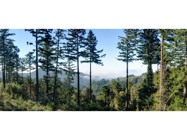 220 Ware Road Woodside, CA 94062 - Photo 12 of 19 a view of a city