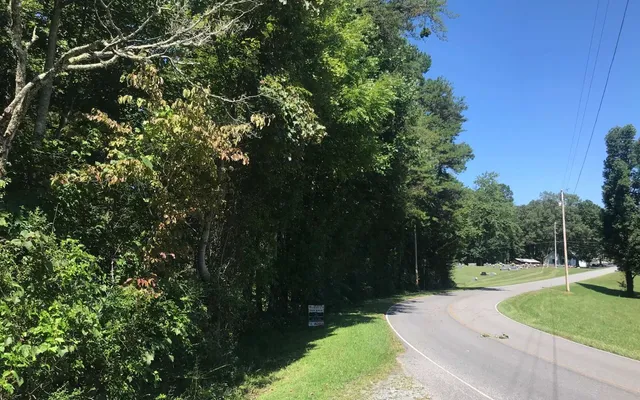 a view of a street with a tree