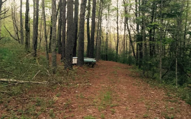 a view of outdoor space with lots of trees