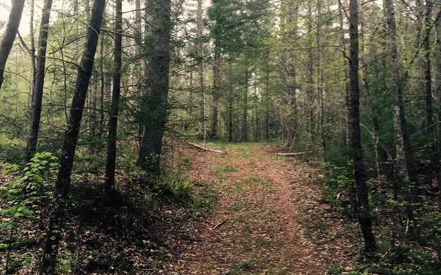 a view of outdoor space and green space