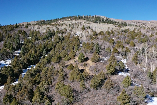 Undisclosed Address Summit, UT 84772 - Photo 10 of 19 Drone / aerial view of a heavily wooded area
