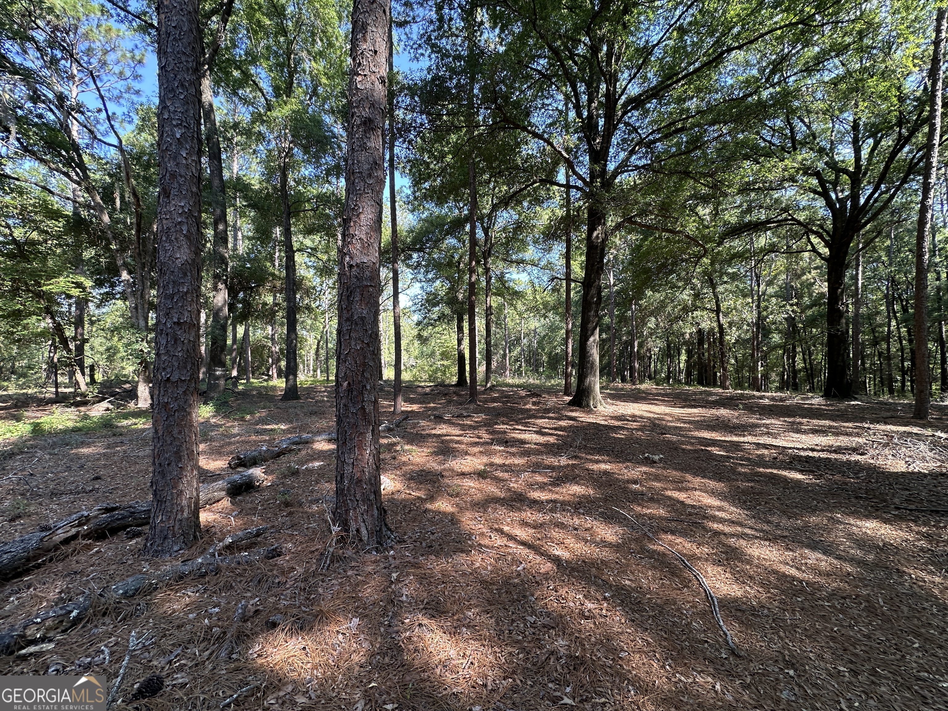 3852 Poor Robin Road Sylvania, GA 30467 - Photo 23 of 24