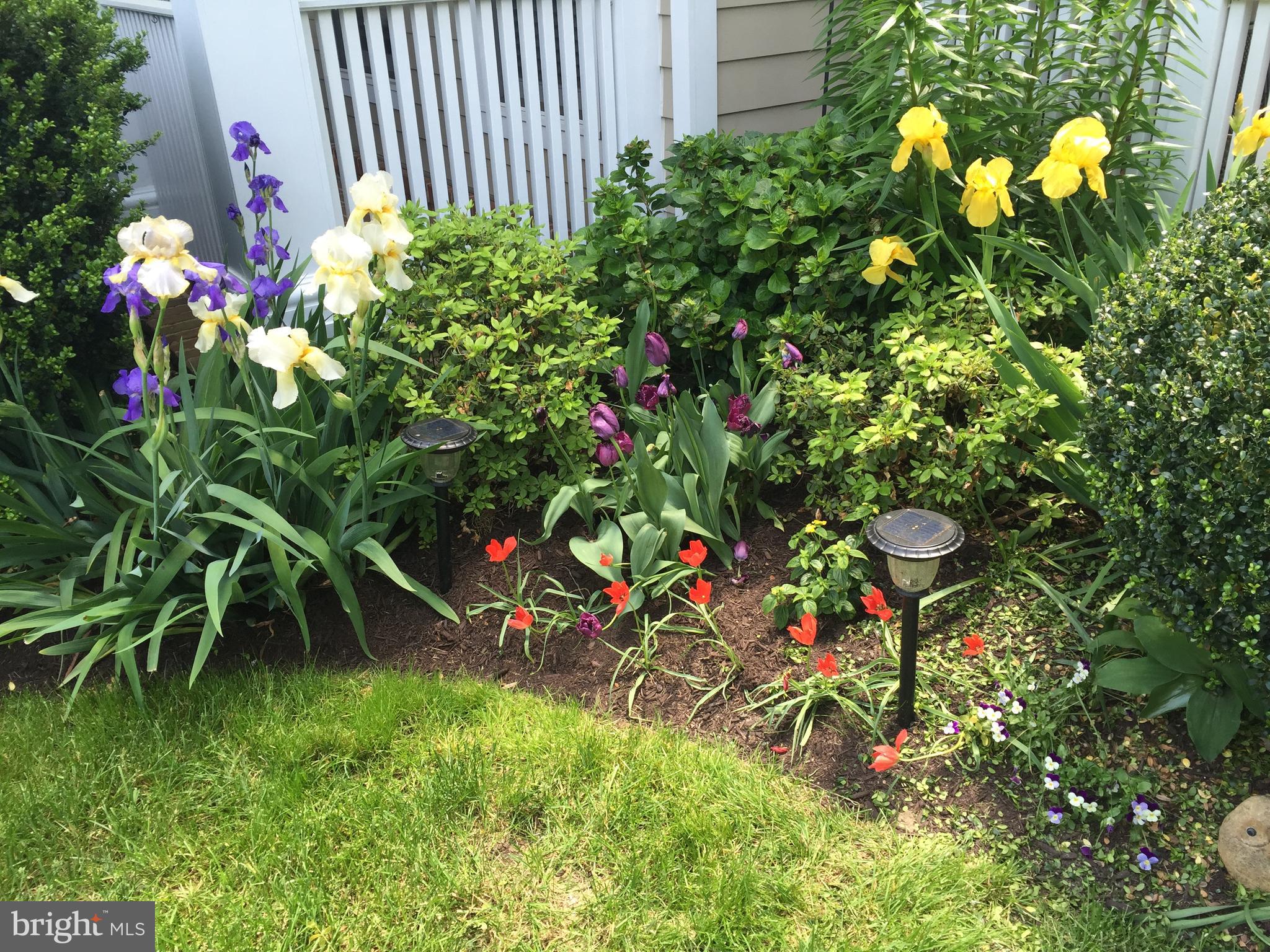 2712 Linden Lane Silver Spring, MD 20910 - Photo 25 of 38