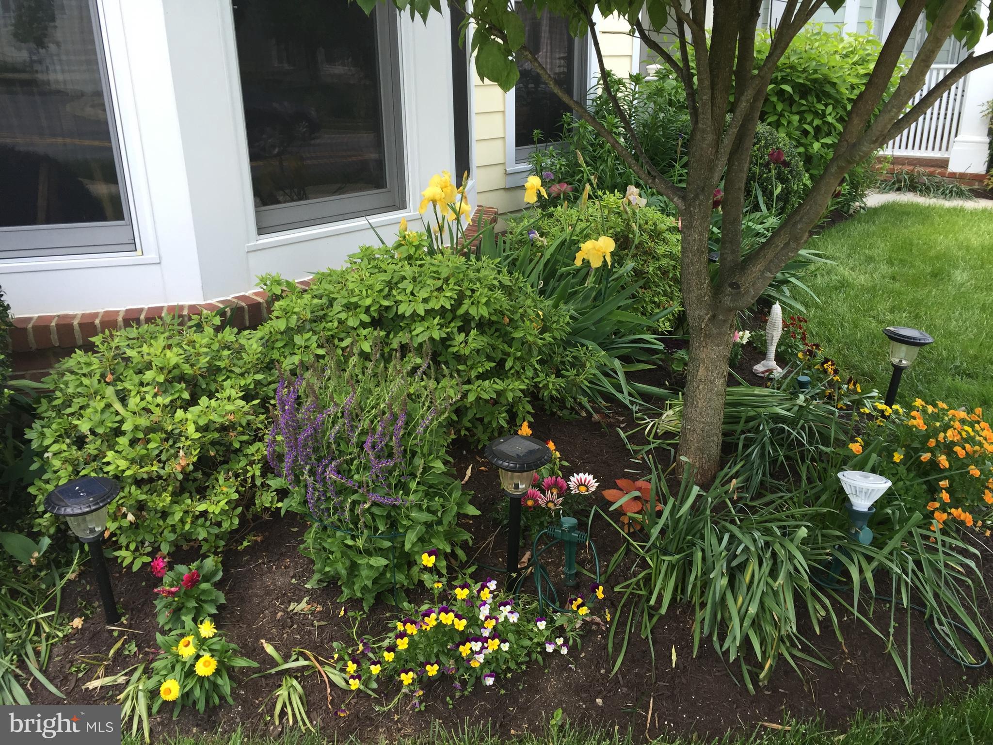 2712 Linden Lane Silver Spring, MD 20910 - Photo 26 of 38