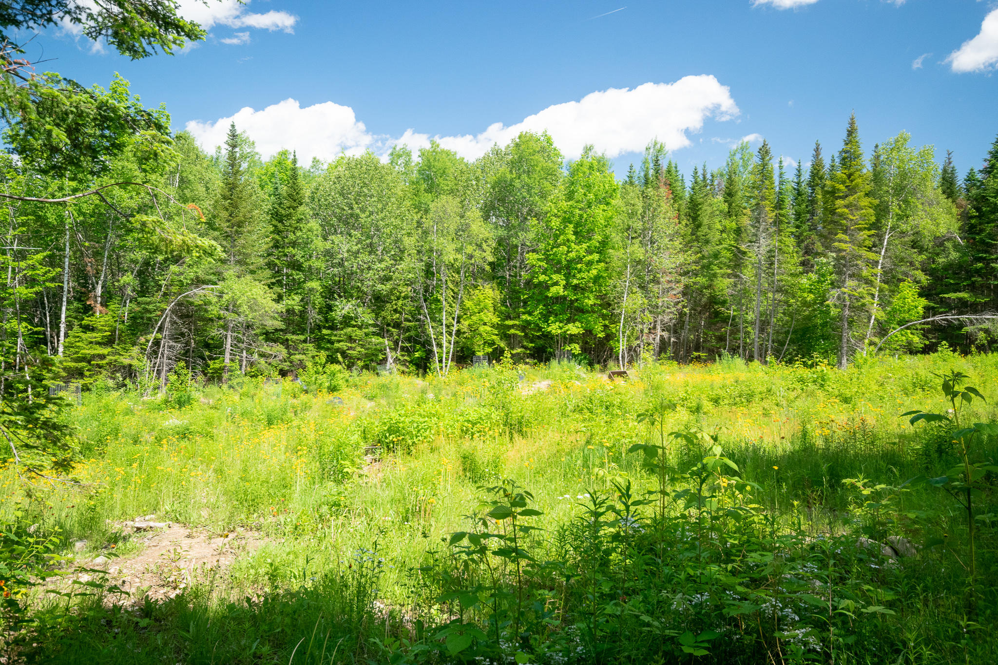 1097 Main Street Springfield, ME 04487 - Photo 31 of 44 DSC_0491