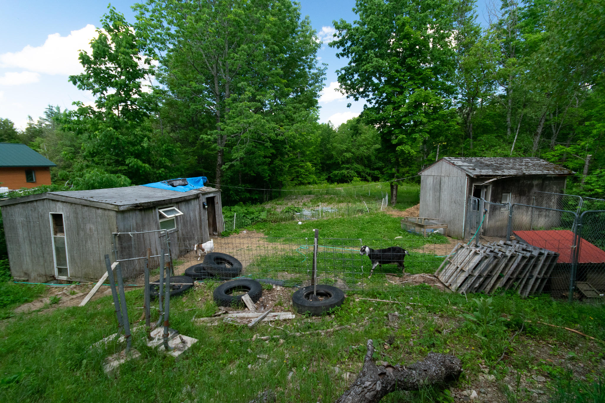 1097 Main Street Springfield, ME 04487 - Photo 32 of 44 DSC_0494