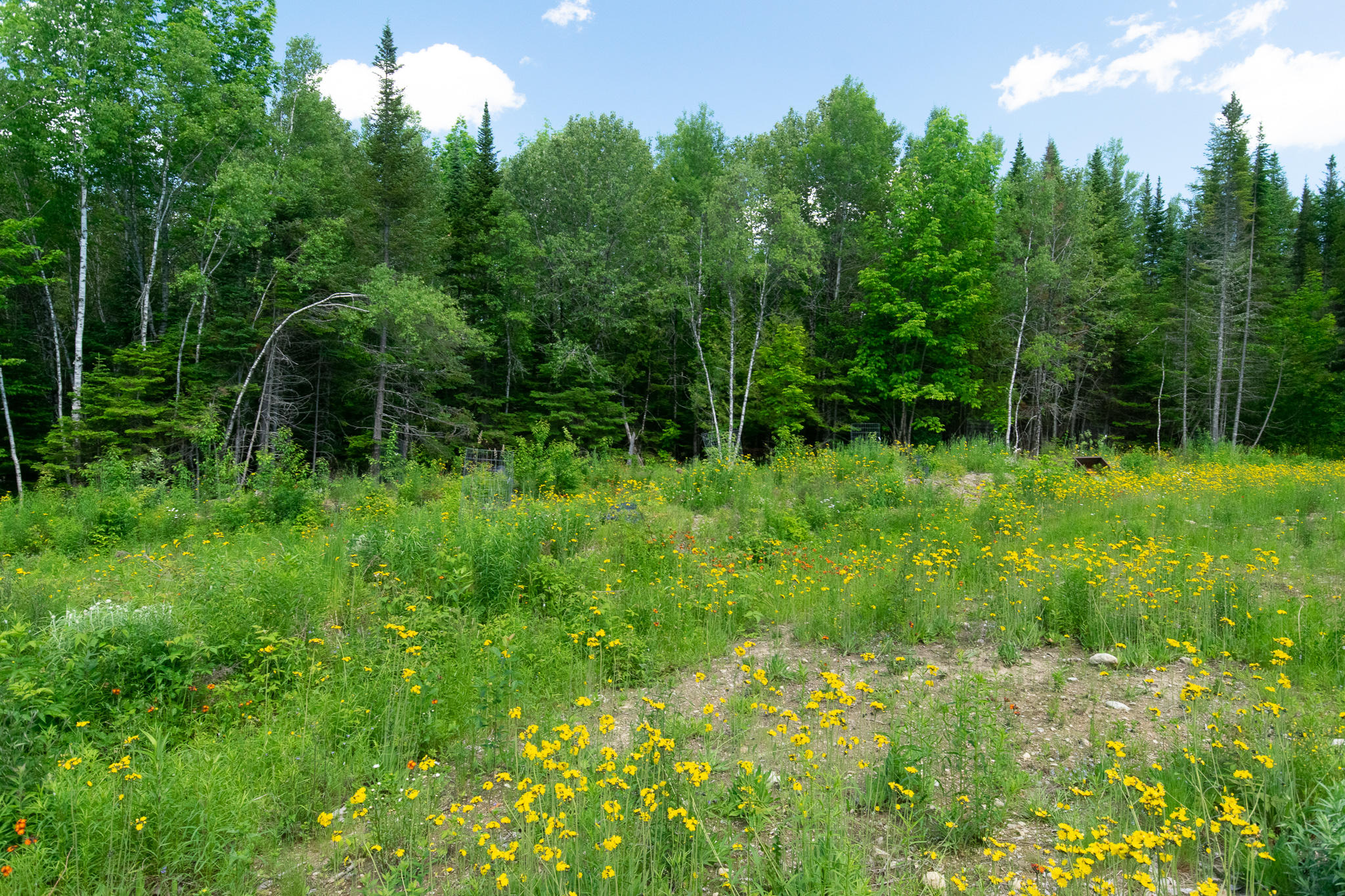 1097 Main Street Springfield, ME 04487 - Photo 34 of 44 DSC_0492