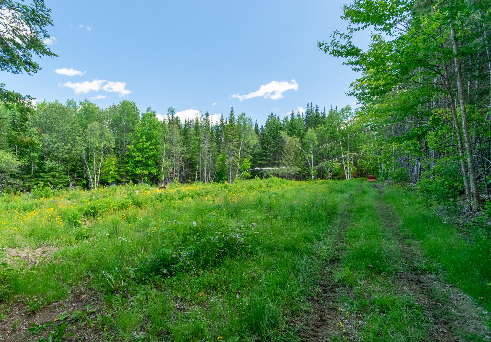 1097 Main Street Springfield, ME 04487 - Photo 35 of 44 DSC_0493