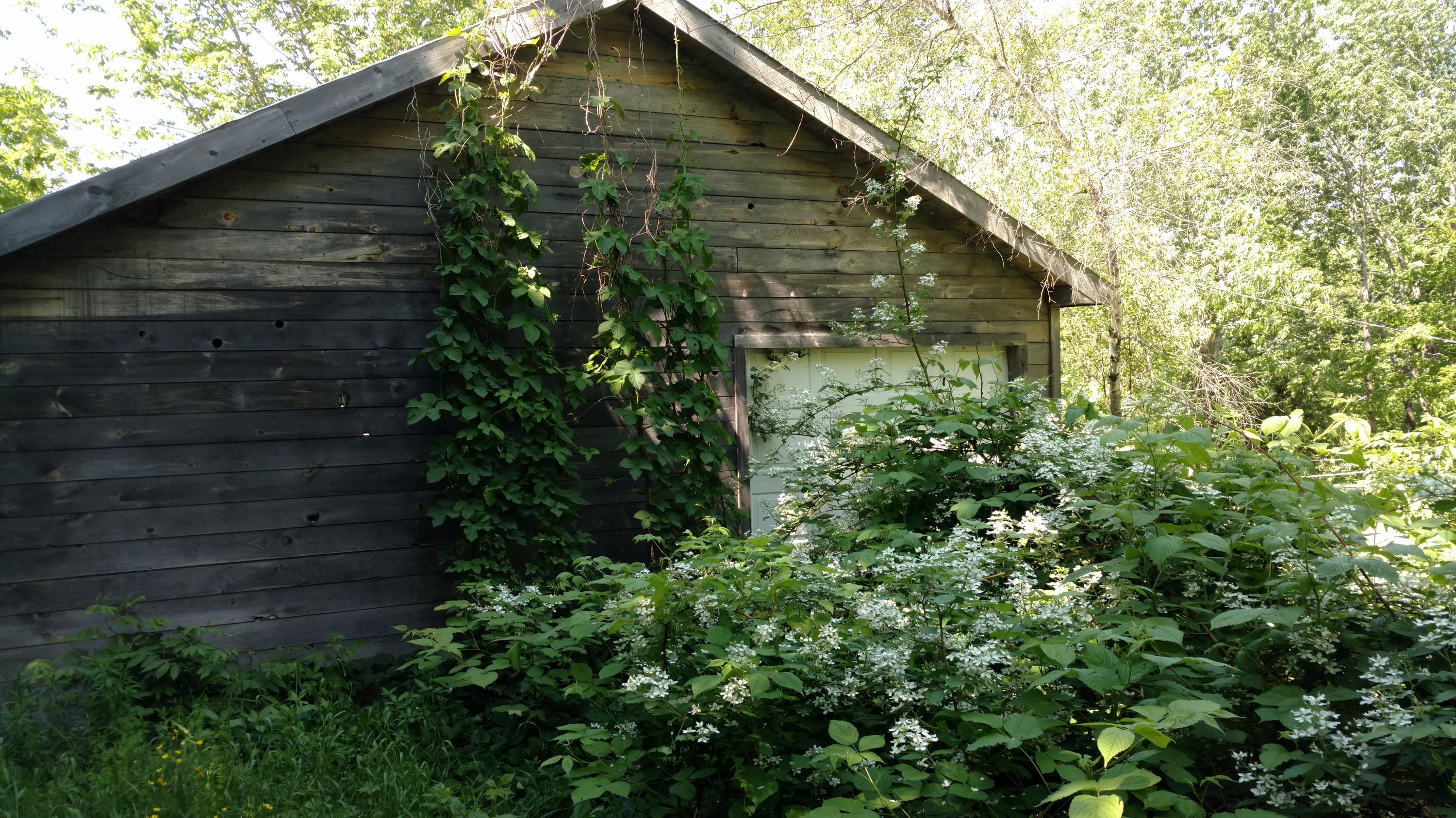 1097 Main Street Springfield, ME 04487 - Photo 43 of 44 IMG_20160620_142035258