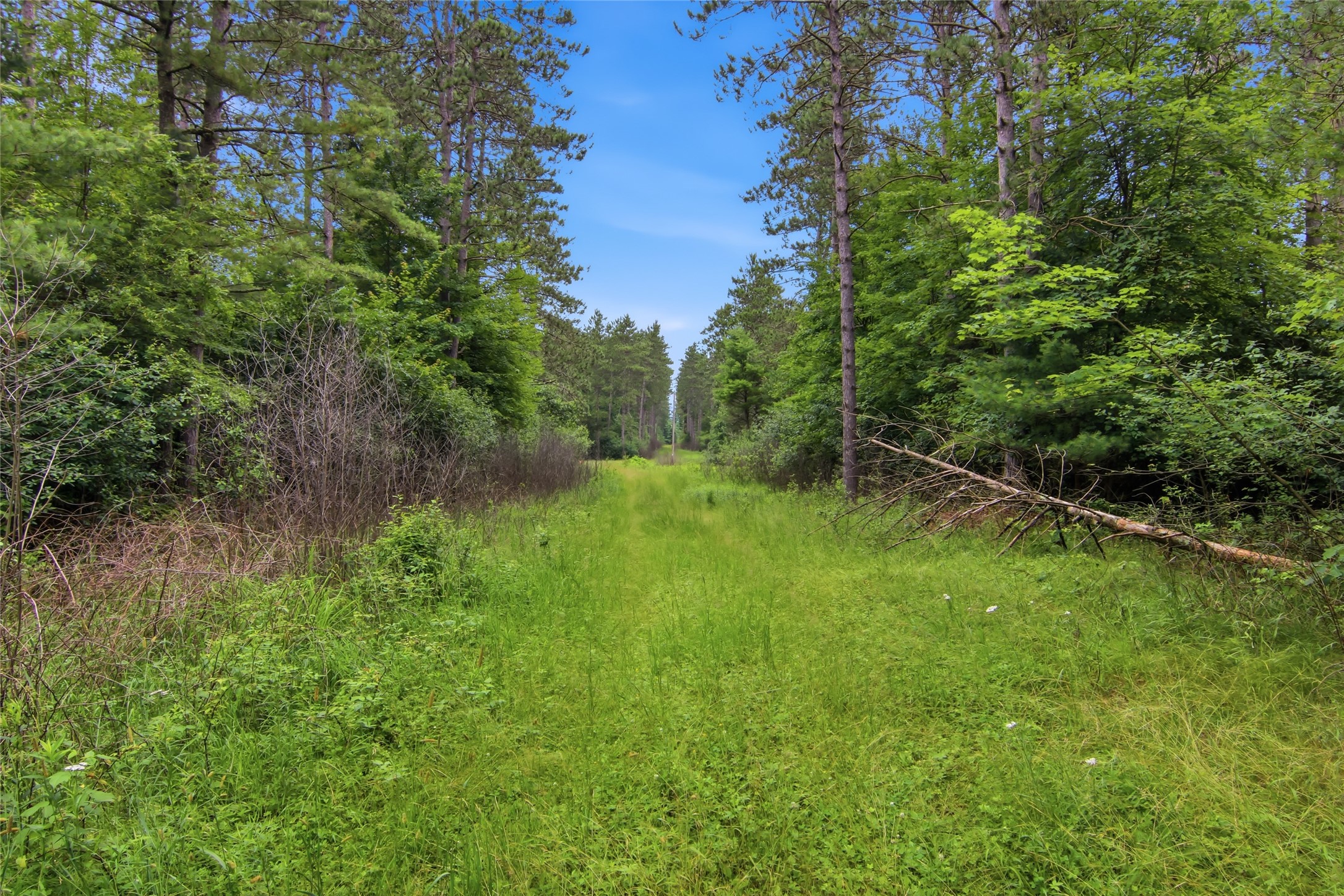 0 West Road Black River Falls, WI 54615 - Photo 42 of 43
