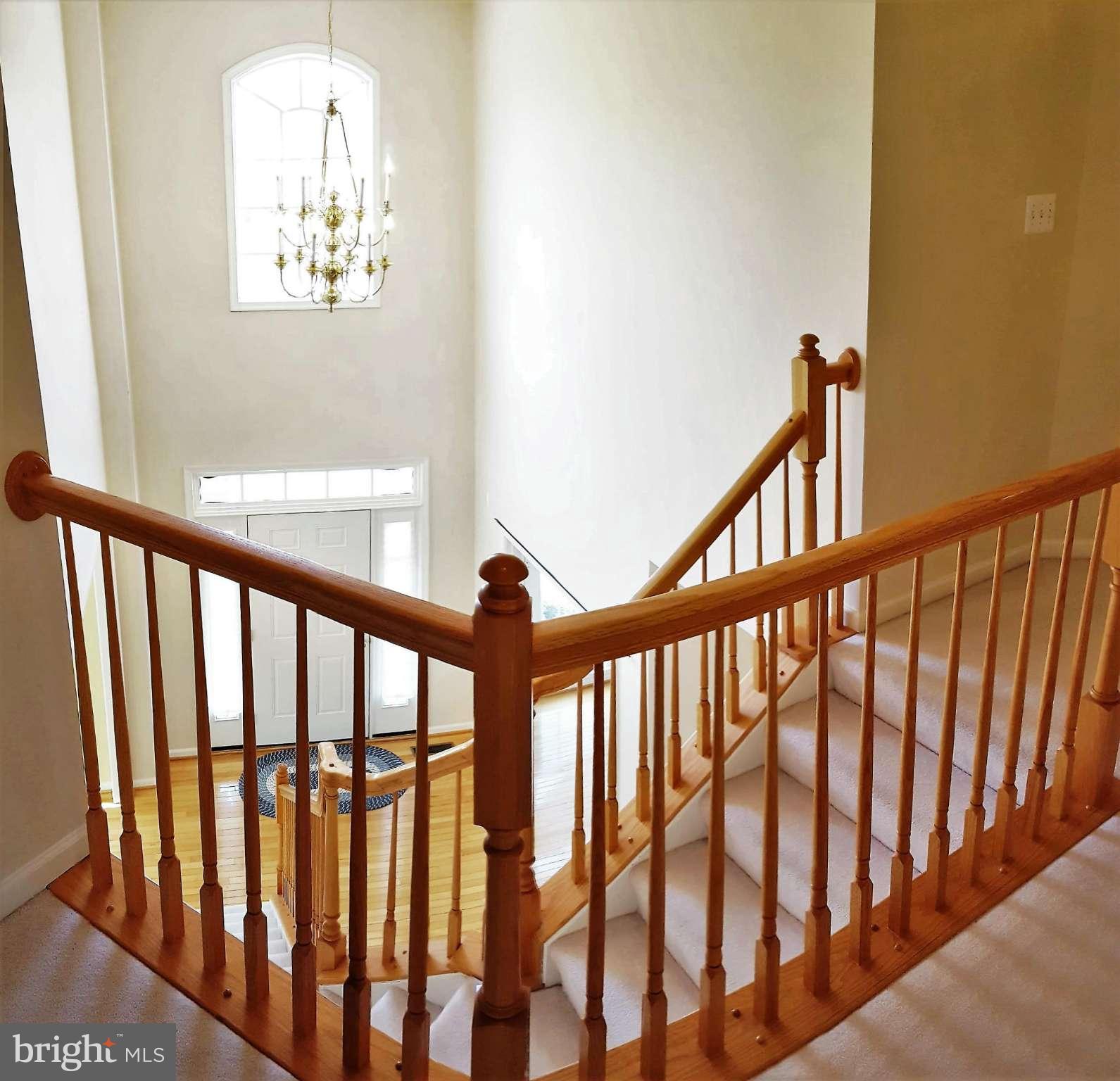 11702 Lauer Court Clinton, MD 20735 - Photo 12 of 29 Foyer View