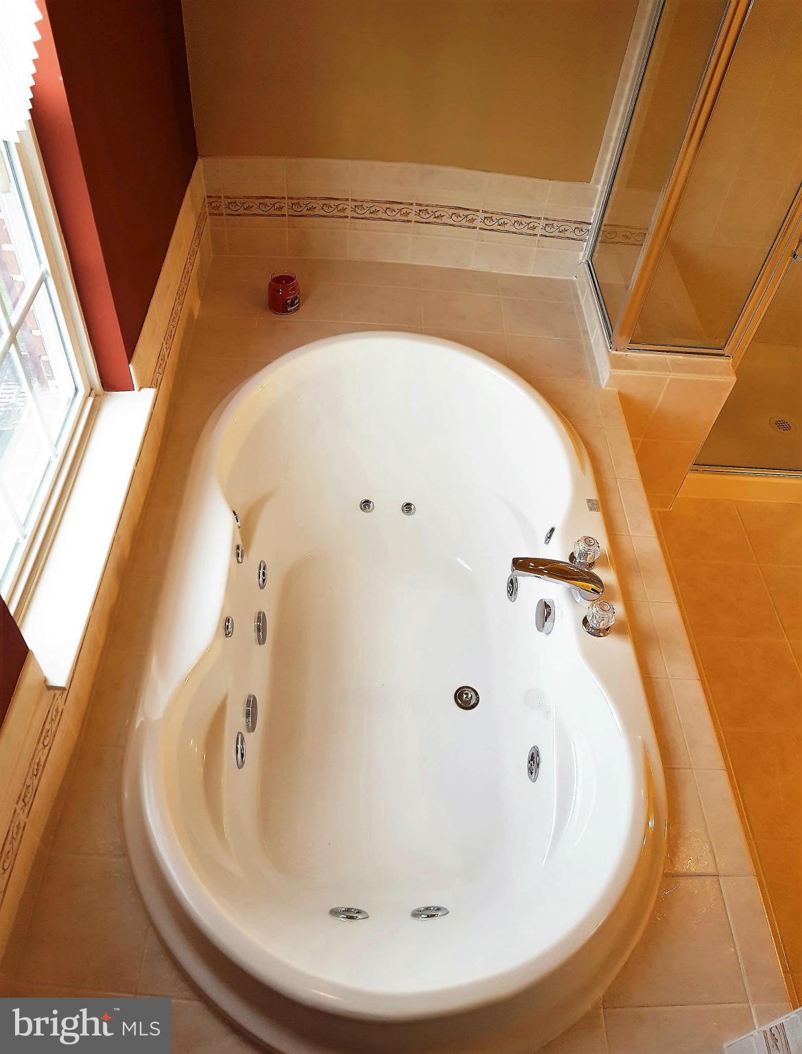 11702 Lauer Court Clinton, MD 20735 - Photo 16 of 29 Jetted Soaking Tub