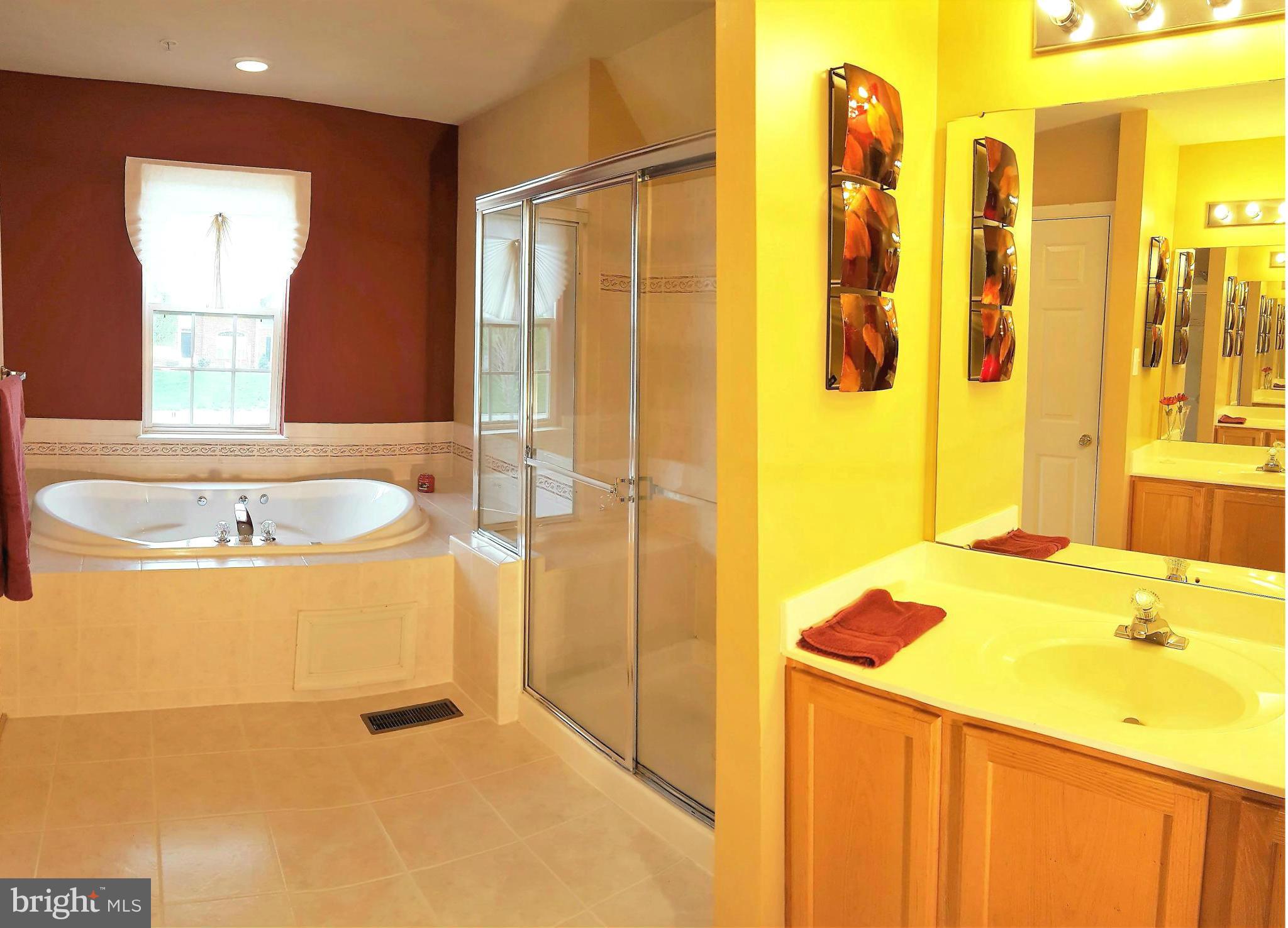 11702 Lauer Court Clinton, MD 20735 - Photo 17 of 29 Master Bath Shower