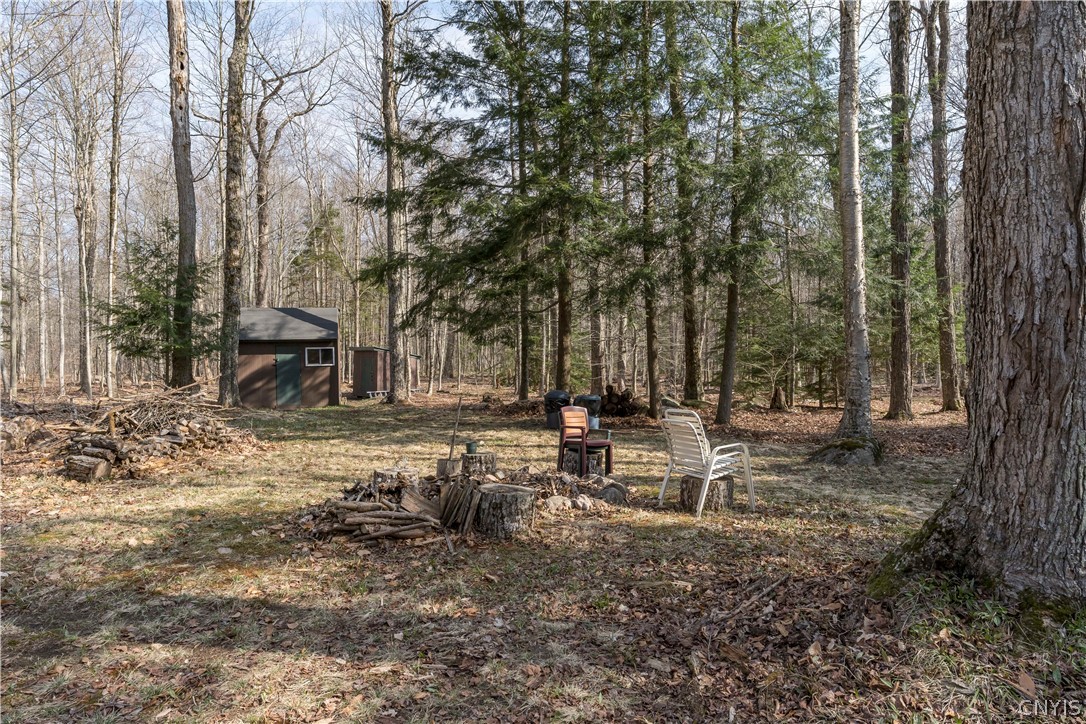 8805 Number 4 Road Watson, NY 13367 - Photo 18 of 20