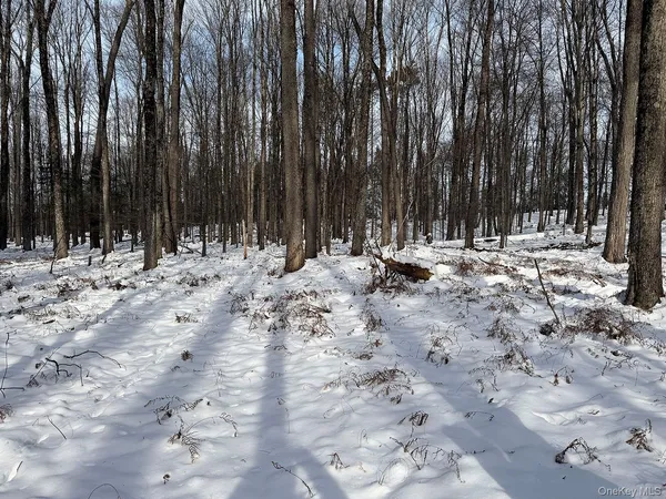 a view of a yard with trees