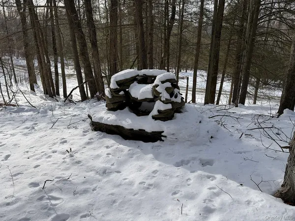 a view of a backyard with chairs and couches