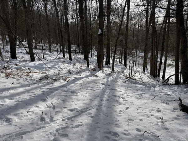 a view of outdoor space with trees