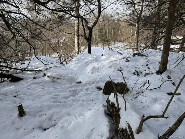 a view of open space with trees