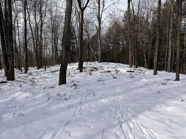 a view of side of a road