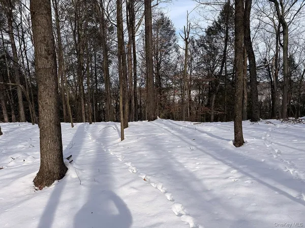 a view of outdoor space with trees