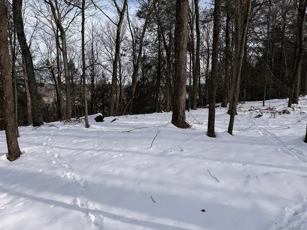 a view of a yard with trees