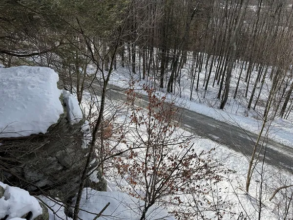 a backyard of a house with large trees and wooden fence