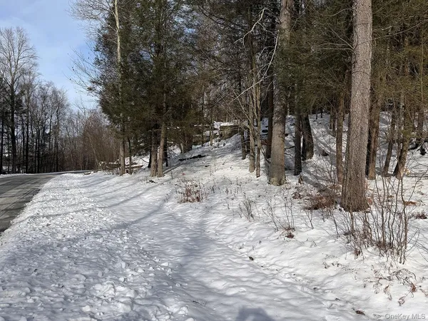 a view of a covered with snow in the background