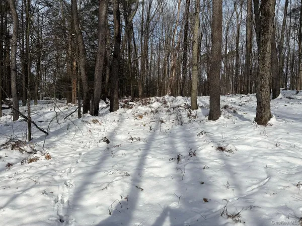 a view of wooden fence and trees