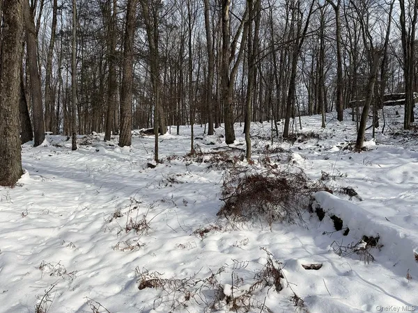 a view of open space with trees