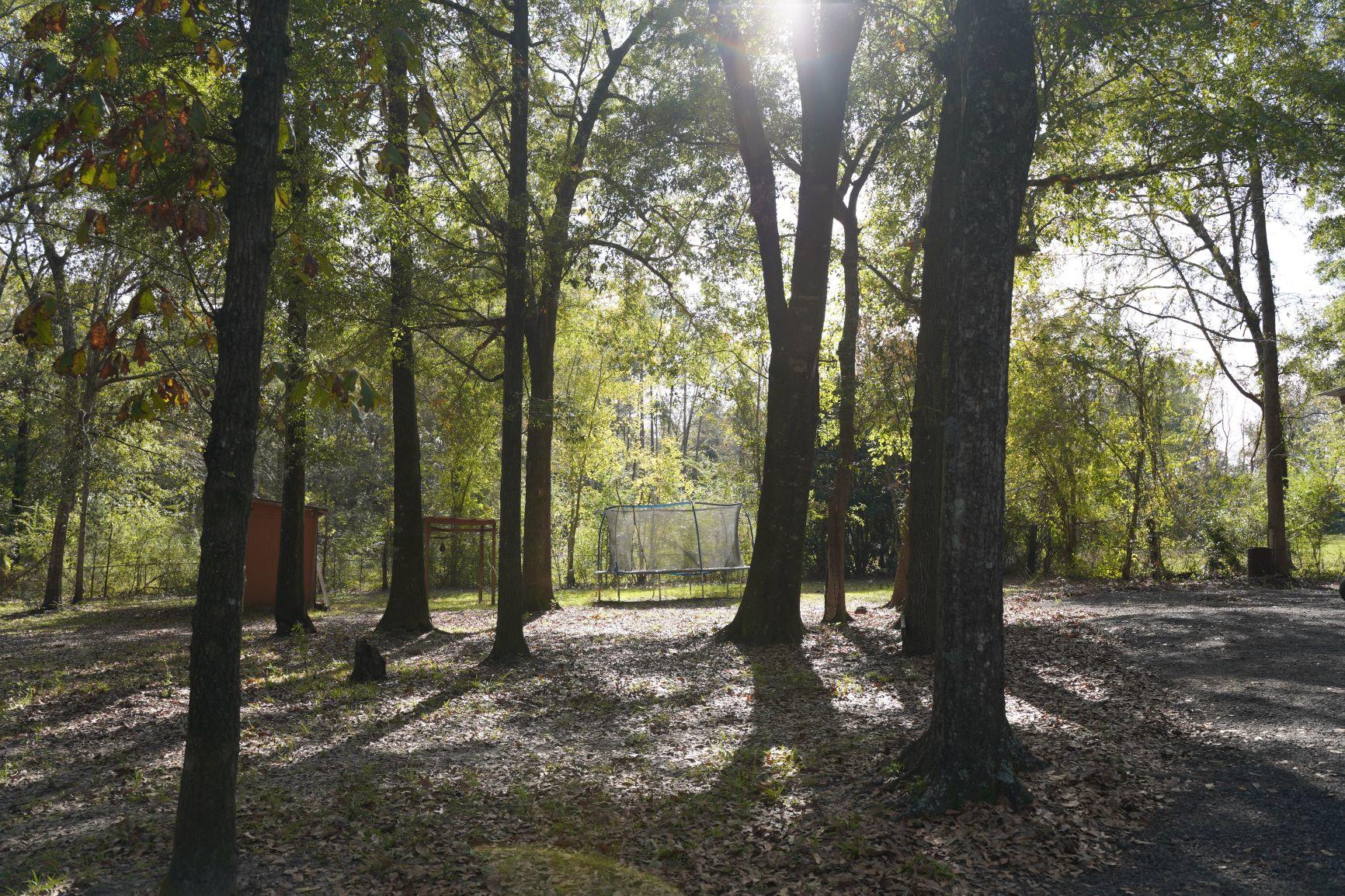 5846 Dairy Road Baker, FL 32531 - Photo 63 of 68 a view of a forest with trees