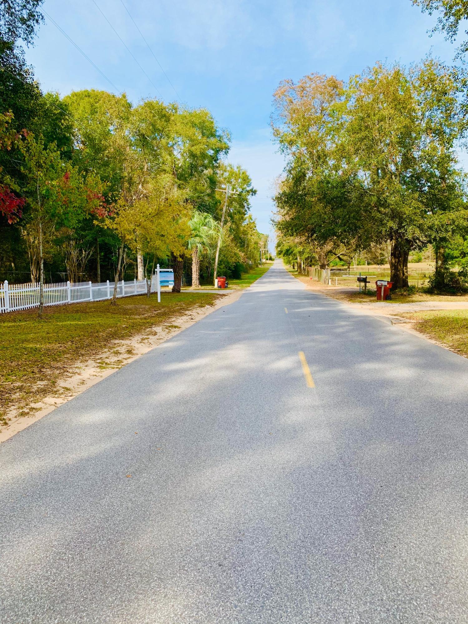 5846 Dairy Road Baker, FL 32531 - Photo 68 of 68 a view of a house with a big yard and large trees