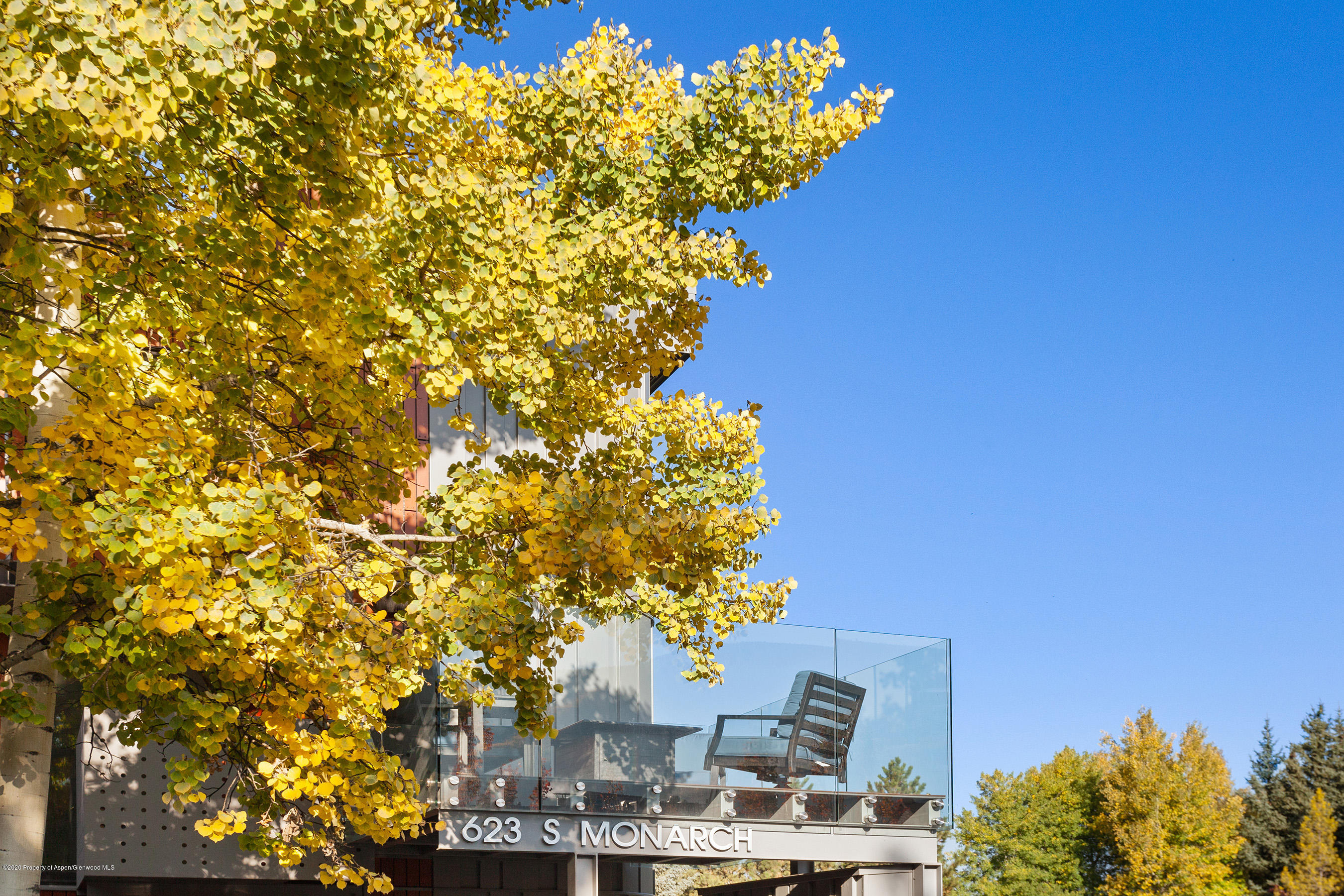 623 South Monarch Street, Unit C Aspen, CO 81611 - Photo 20 of 24 a view of a flower in a garden